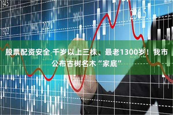 股票配资安全 千岁以上三株、最老1300岁！我市公布古树名木“家底”