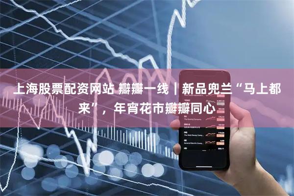 上海股票配资网站 瓣瓣一线｜新品兜兰“马上都来”，年宵花市瓣瓣同心