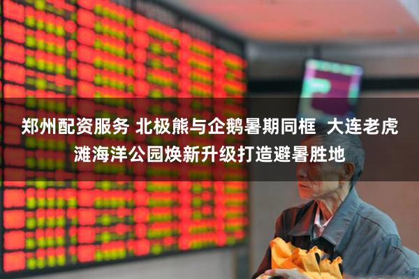 郑州配资服务 北极熊与企鹅暑期同框  大连老虎滩海洋公园焕新升级打造避暑胜地